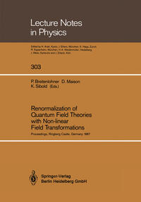 Vorderes Coverbild Renormalization of Quantum Field Theories with Non-linear Field Transformations