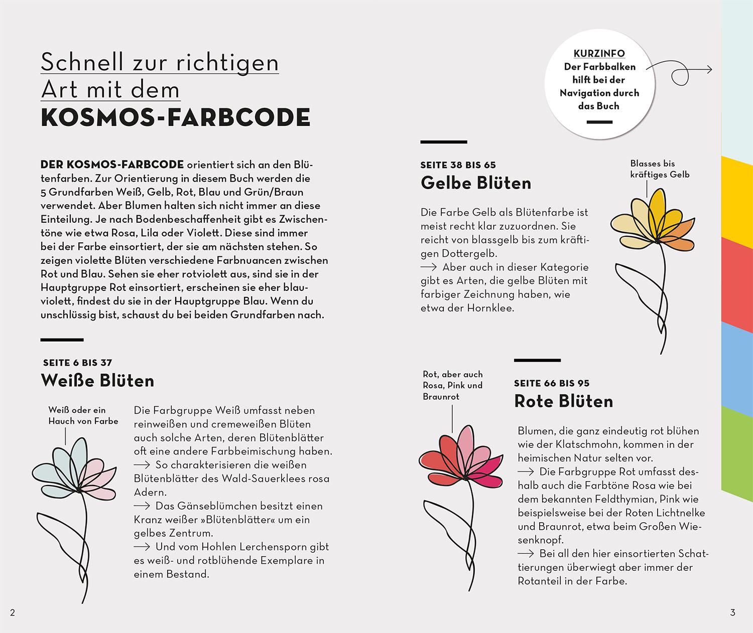 Beispielinhalt (Bild) BASIC Blumen