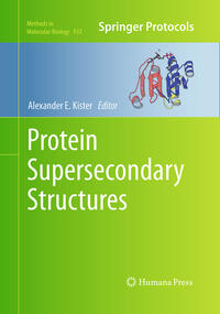 Vorderes Coverbild Protein Supersecondary Structures