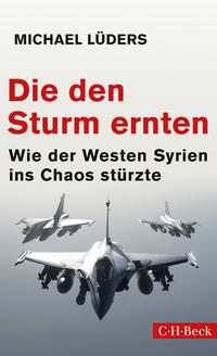 Vorderes Coverbild Die den Sturm ernten