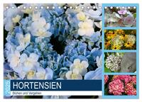 Vorderes Coverbild Hortensien Blühen und Vergehen (Tischkalender 2025 DIN A5 quer), CALVENDO Monatskalender