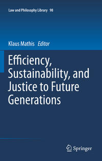 Vorderes Coverbild Efficiency, Sustainability, and Justice to Future Generations