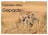 Vorderes Coverbild Faszinaton Afrika: Geparde (Wandkalender 2025 DIN A3 quer), CALVENDO Monatskalender
