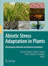 Vorderes Coverbild Abiotic Stress Adaptation in Plants