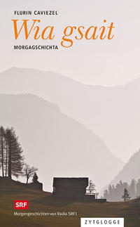 Vorderes Coverbild Wia gsait