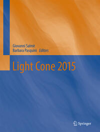 Vorderes Coverbild Light Cone 2015