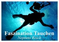 Vorderes Coverbild Faszination Tauchen - Neptuns Reich (Wandkalender 2025 DIN A2 quer), CALVENDO Monatskalender