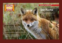 Vorderes Coverbild Der Fuchs / Kamishibai Bildkarten