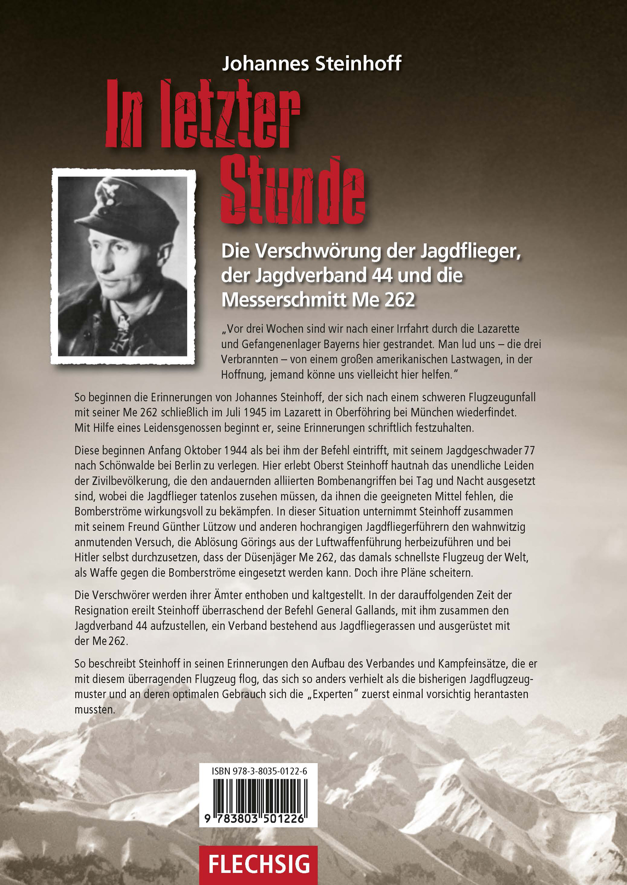 Rückseitencover In letzter Stunde