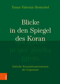 Vorderes Coverbild Blicke in den Spiegel des Koran