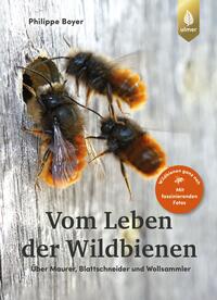 Vorderes Coverbild Vom Leben der Wildbienen