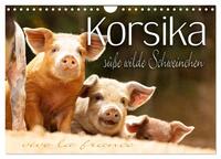 Vorderes Coverbild Korsika - süße, wilde Schweinchen (Wandkalender 2025 DIN A4 quer), CALVENDO Monatskalender