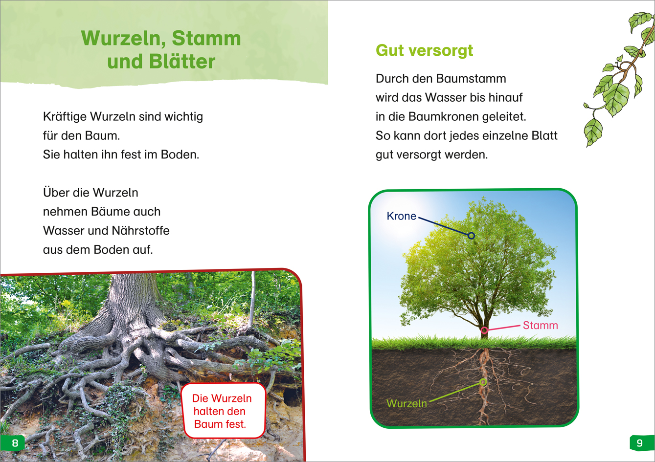 Beispielinhalt (Bild) WAS IST WAS Erstes Lesen easy! Band 1. Entdecke die Bäume