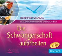 Vorderes Coverbild Die Schwangerschaft aufarbeiten