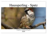 Vorderes Coverbild Haussperling - Spatz fotografiert von Ostfriesenfotografie (Wandkalender 2026 DIN A2 quer), CALVENDO Monatskalender