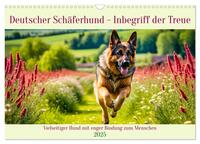 Vorderes Coverbild Deutscher Schäferhund - Inbegriff der Treue (Wandkalender 2025 DIN A3 quer), CALVENDO Monatskalender