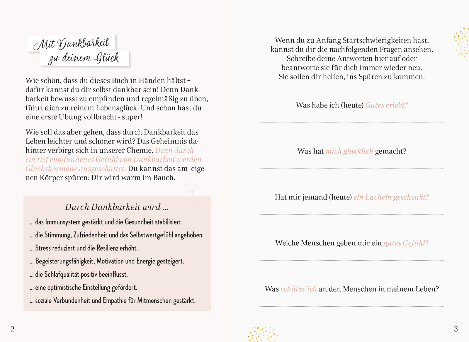 Beispielinhalt (Bild) Danke - Mein Tagebuch