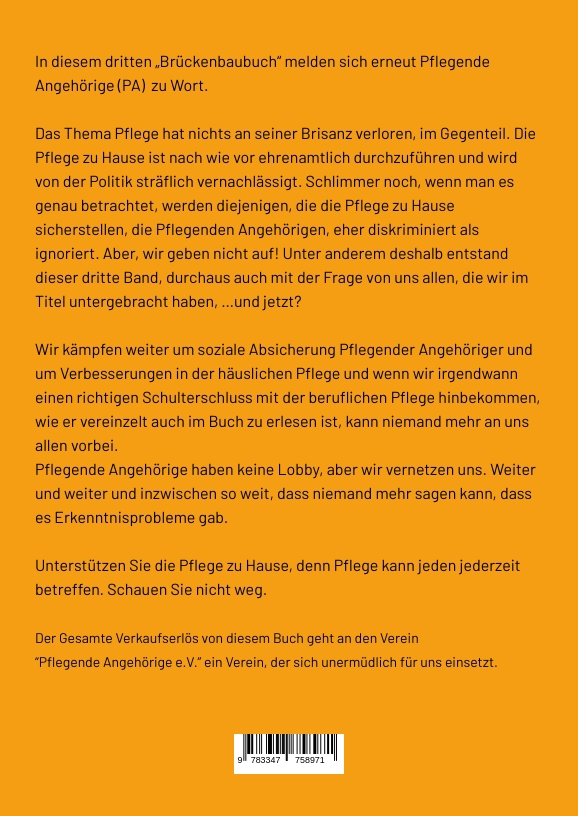 Rückseitencover Wir bauen eine Brücke … und jetzt?