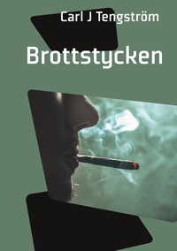 Vorderes Coverbild Brottstycken