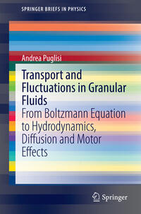 Vorderes Coverbild Transport and Fluctuations in Granular Fluids