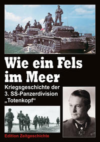 Vorderes Coverbild Wie ein Fels im Meer (1)