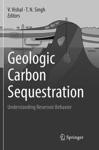 Vorderes Coverbild Geologic Carbon Sequestration