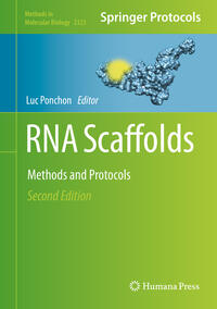 Vorderes Coverbild RNA Scaffolds