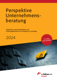 Vorderes Coverbild Perspektive Unternehmensberatung 2024