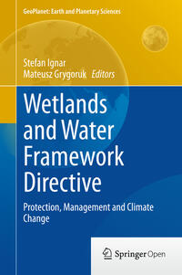 Vorderes Coverbild Wetlands and Water Framework Directive