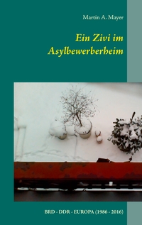 Vorderes Coverbild Ein Zivi im Asylbewerberheim