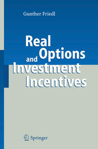 Vorderes Coverbild Real Options and Investment Incentives