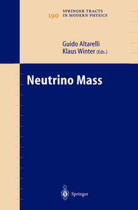 Vorderes Coverbild Neutrino Mass