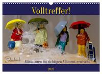 Vorderes Coverbild Volltreffer! (Wandkalender 2025 DIN A3 quer), CALVENDO Monatskalender