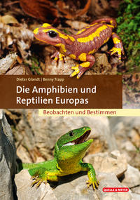 Vorderes Coverbild Die Amphibien und Reptilien Europas