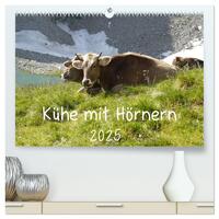Vorderes Coverbild Kühe mit Hörnern (hochwertiger Premium Wandkalender 2025 DIN A2 quer), Kunstdruck in Hochglanz