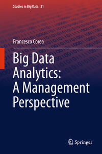 Vorderes Coverbild Big Data Analytics: A Management Perspective