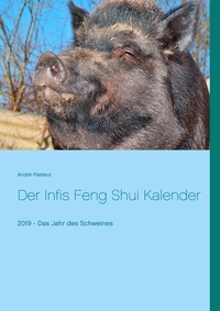 Vorderes Coverbild Der Infis Feng Shui Kalender