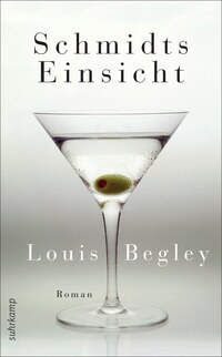 Vorderes Coverbild Schmidts Einsicht