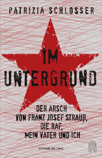 Vorderes Coverbild Im Untergrund