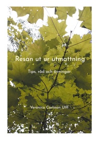 Vorderes Coverbild Resan ut ur utmattning