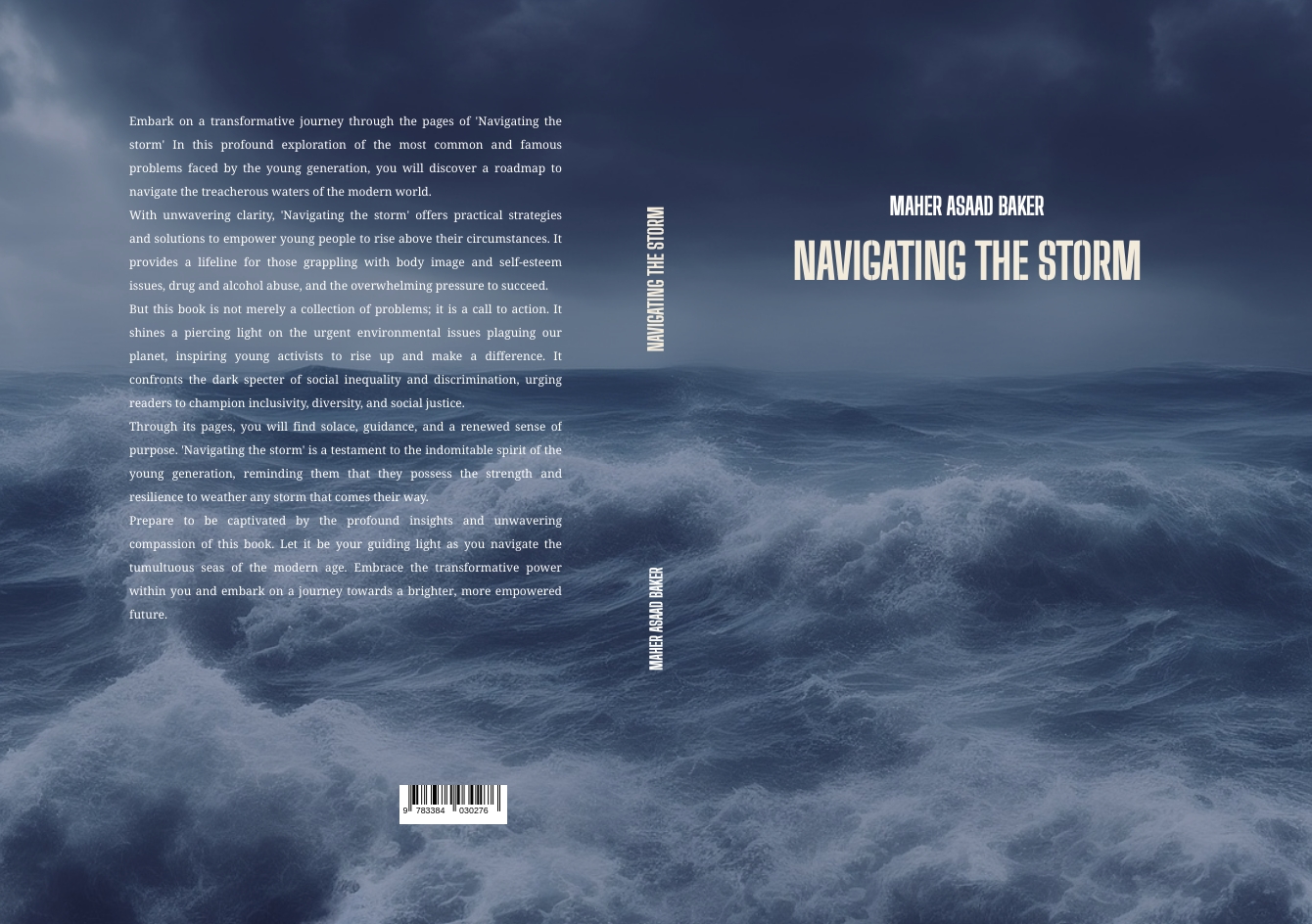 Gesamtes Coverbild Navigating the storm
