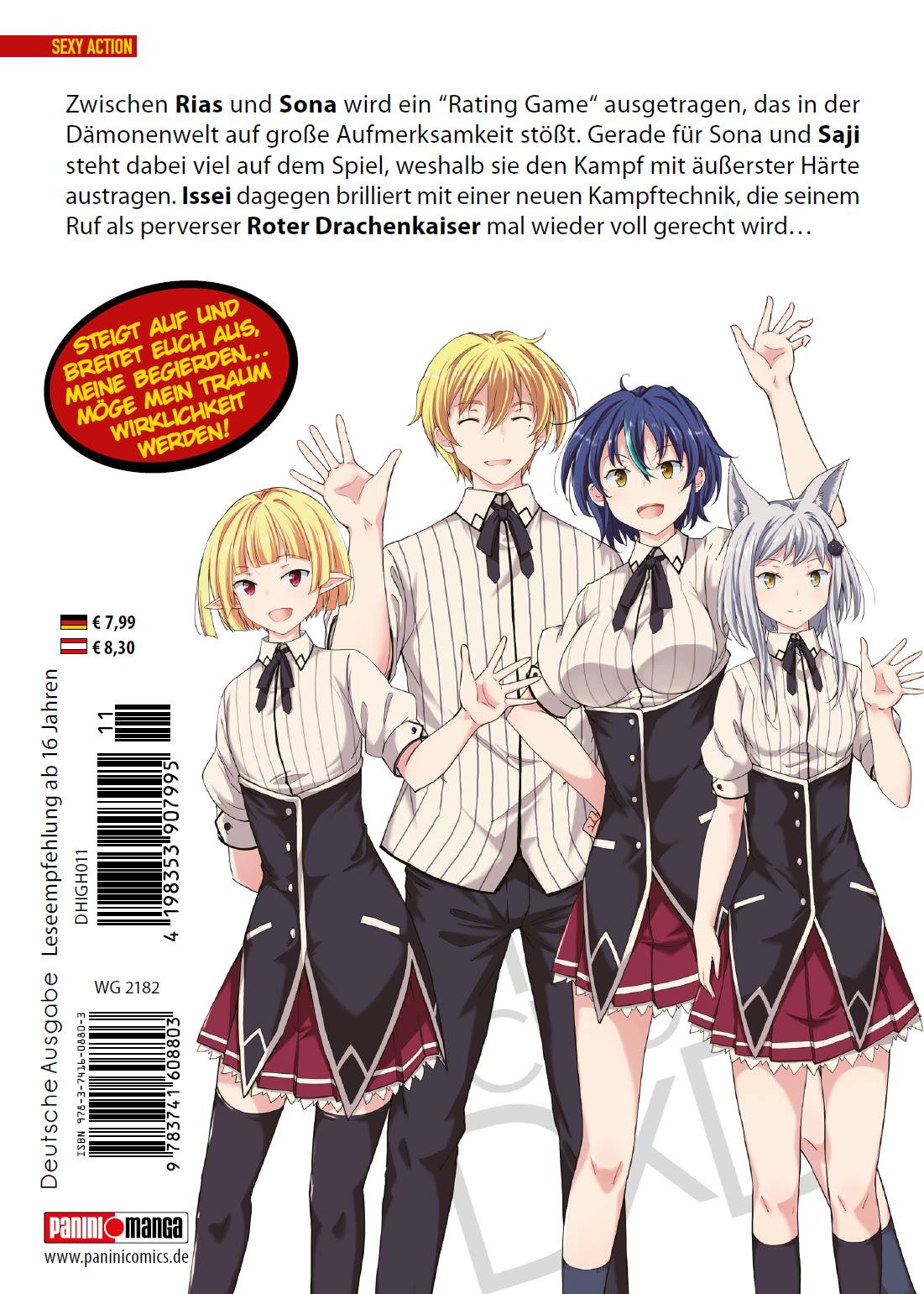 Rückseitencover HighSchool DxD 11