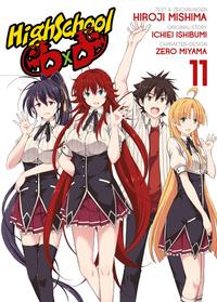 Vorderes Coverbild HighSchool DxD 11