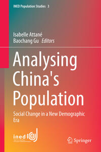 Vorderes Coverbild Analysing China's Population