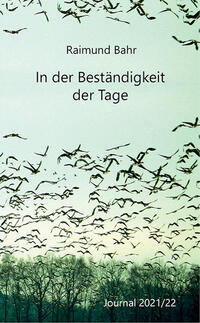 Vorderes Coverbild In der Beständigkeit der Tage