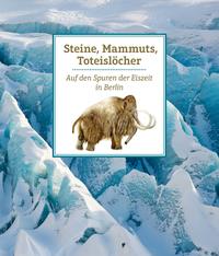Vorderes Coverbild Steine, Mammuts, Toteislöcher
