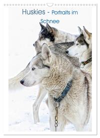 Vorderes Coverbild Huskies - Portraits im Schnee (Wandkalender 2025 DIN A3 hoch), CALVENDO Monatskalender