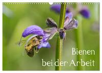 Vorderes Coverbild Bienen bei der Arbeit (Wandkalender 2026 DIN A3 quer), CALVENDO Monatskalender