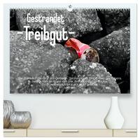 Vorderes Coverbild Gestrandet -Treibgut- (hochwertiger Premium Wandkalender 2026 DIN A2 quer), Kunstdruck in Hochglanz