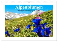 Vorderes Coverbild Alpenblumen. Bunte Welt in luftiger Höhe (Wandkalender 2025 DIN A3 quer), CALVENDO Monatskalender